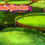 botanic garden mauritius
