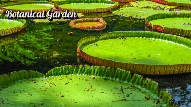 botanical gardens amazing program with kids