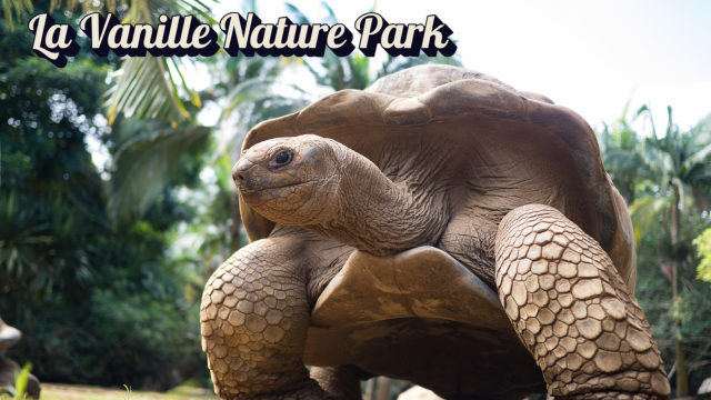La Vanille Nature Park amazing program with kids