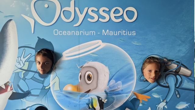 Odysseo oceanarium amazing programs with kids