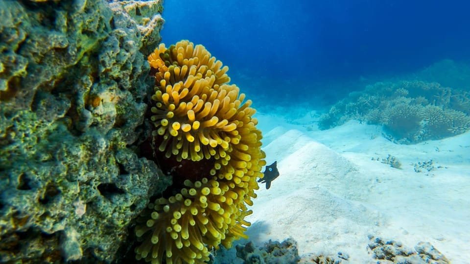 Blue bay marina park