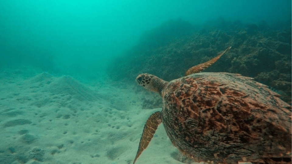 Blue bay marina park