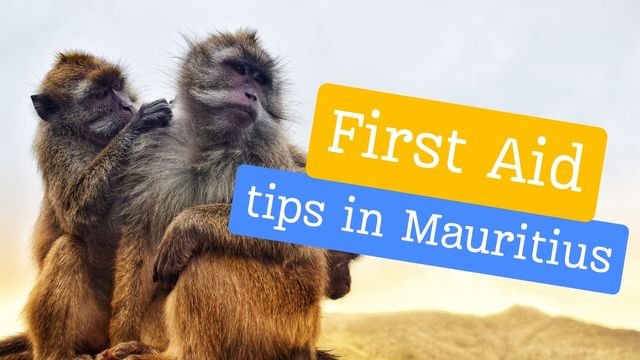 First Aid tips in Mauritius