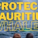 protect mauritius whales