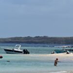 A group of people standing on top of a sandy beach