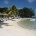 a white sandy beach with palm trees and people on it