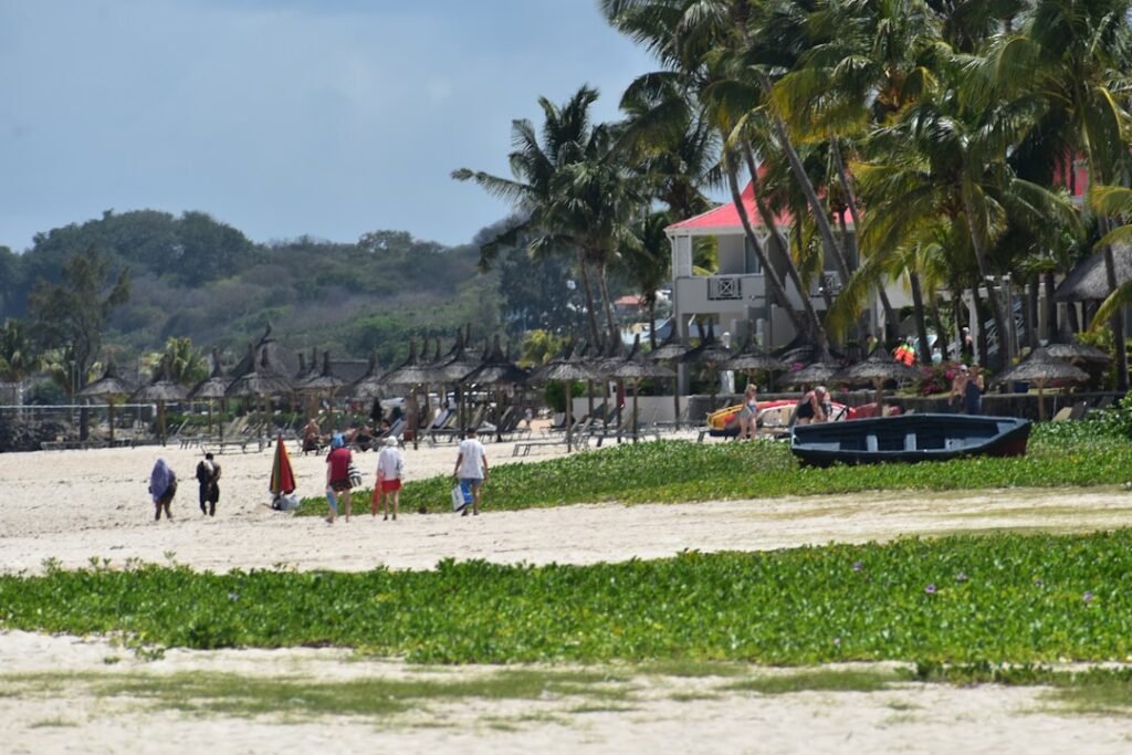 A group of people walking along a beach next to palm trees