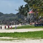 A group of people walking along a beach next to palm trees