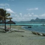 a sandy beach with palm trees and boats in the water