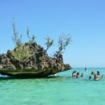 a group of people swimming in the ocean