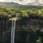 waterfalls in the middle of green trees