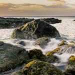 brown rock formation on body of water during daytime