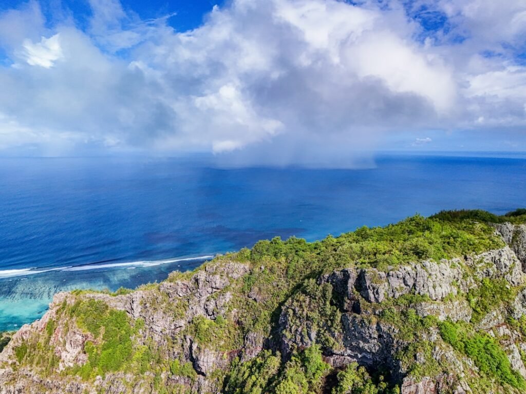 A scenic view of the ocean from the top of a mountain