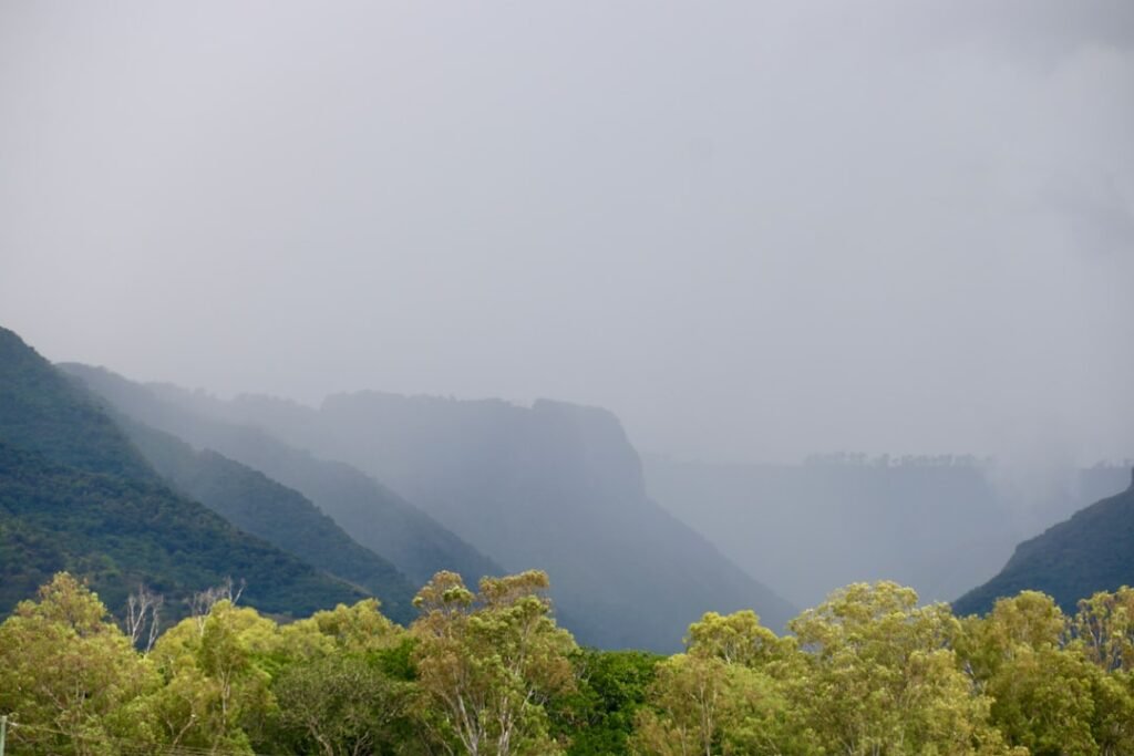 a view of a mountain range with trees in the foreground