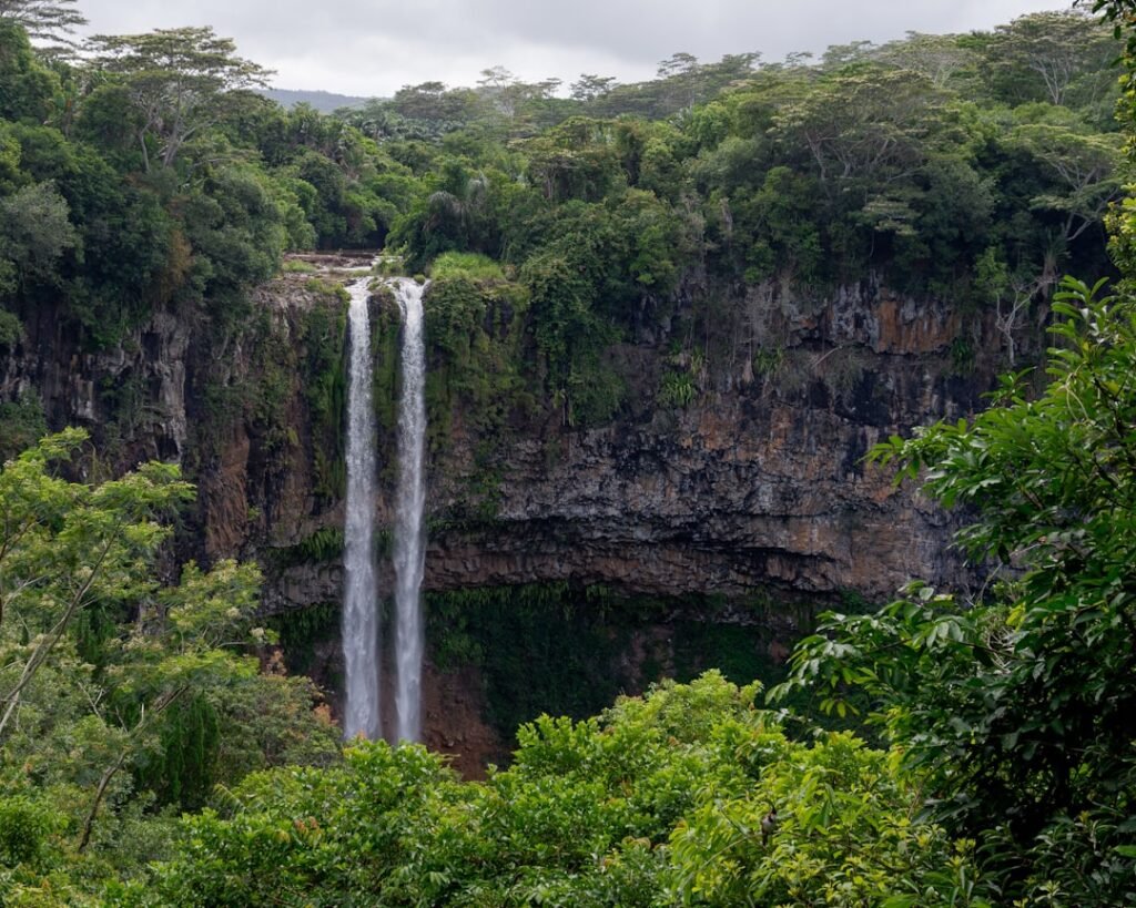 Tall waterfall cascading down a lush green cliff face.