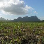Central Mauritius