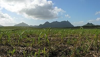 Central Mauritius