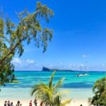 people by the beach during daytime