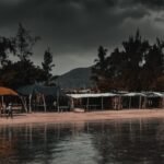 people on beach during night time