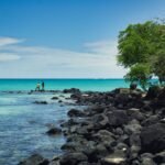 a couple of people standing on top of a rocky beach
