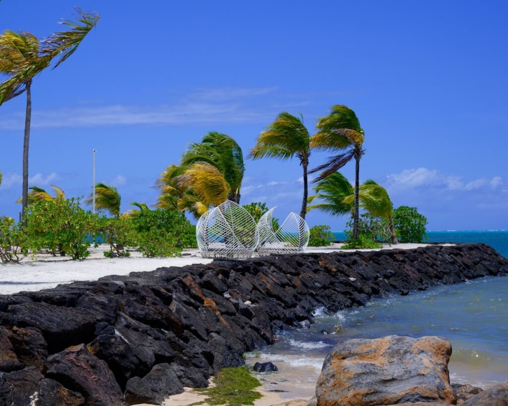 Palm trees sway on a breezy tropical beach island.