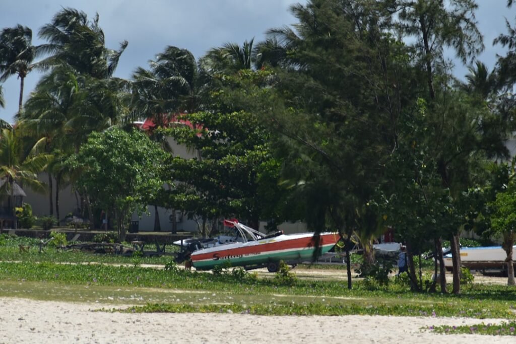 A small plane is parked on the beach