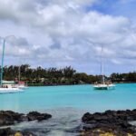 boats in the water