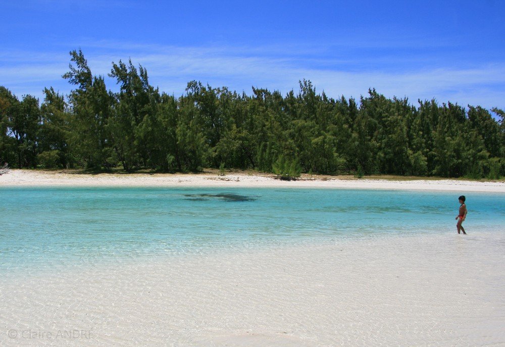 Ile aux Cerfs beach