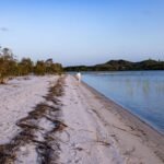 A person walks along a sandy path beside calm water.