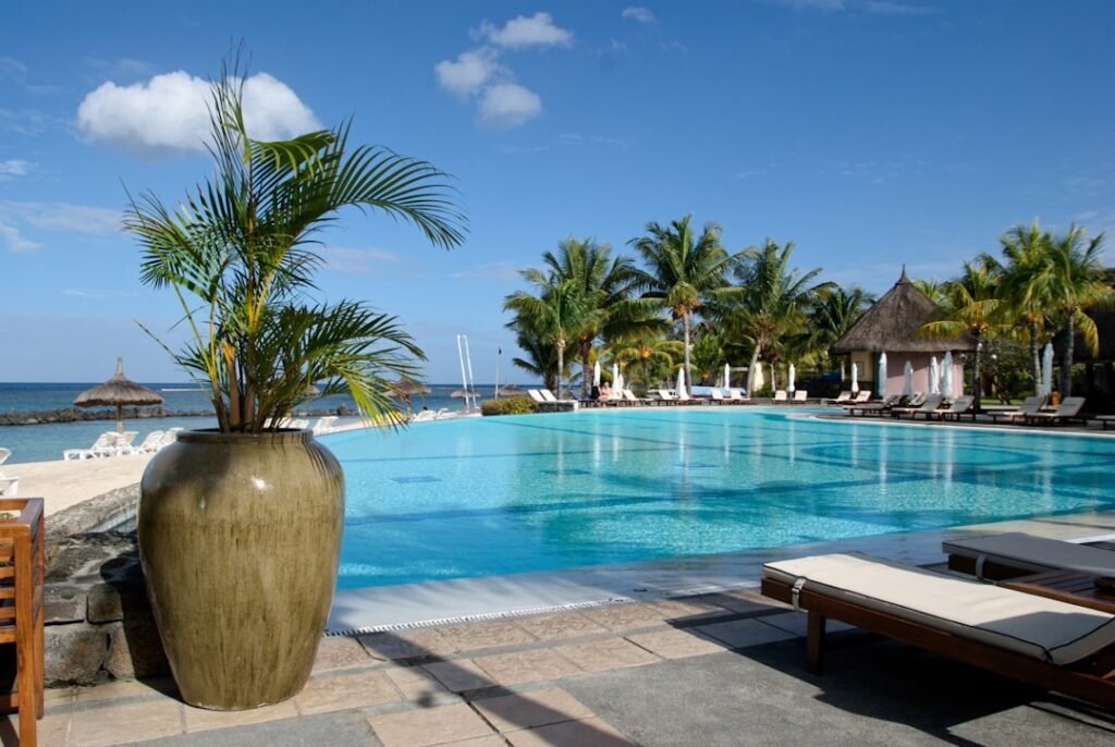 A large swimming pool with lounge chairs and palm trees
