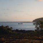 A view of a body of water with a boat in the distance