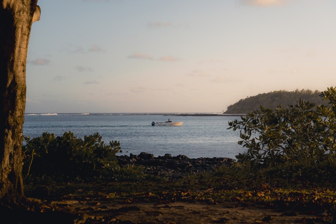 A view of a body of water with a boat in the distance