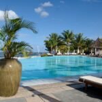 A large swimming pool with lounge chairs and palm trees