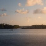 A body of water surrounded by trees and clouds