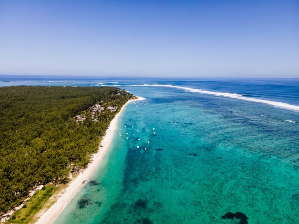 an aerial view of a beach and a body of water