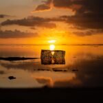 silhouette of seashore