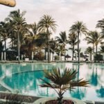 pool near trees during daytime