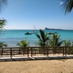 green palm tree near body of water during daytime