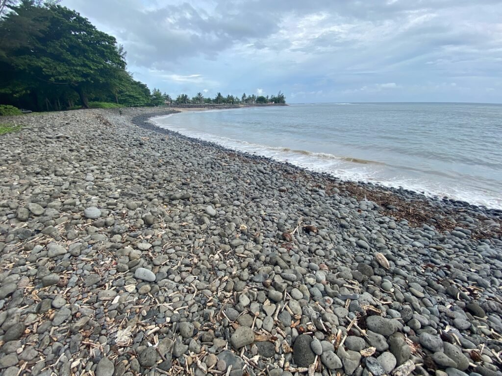 Rivière des Galets Mauritius