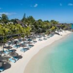 Royal Palm Beachcomber