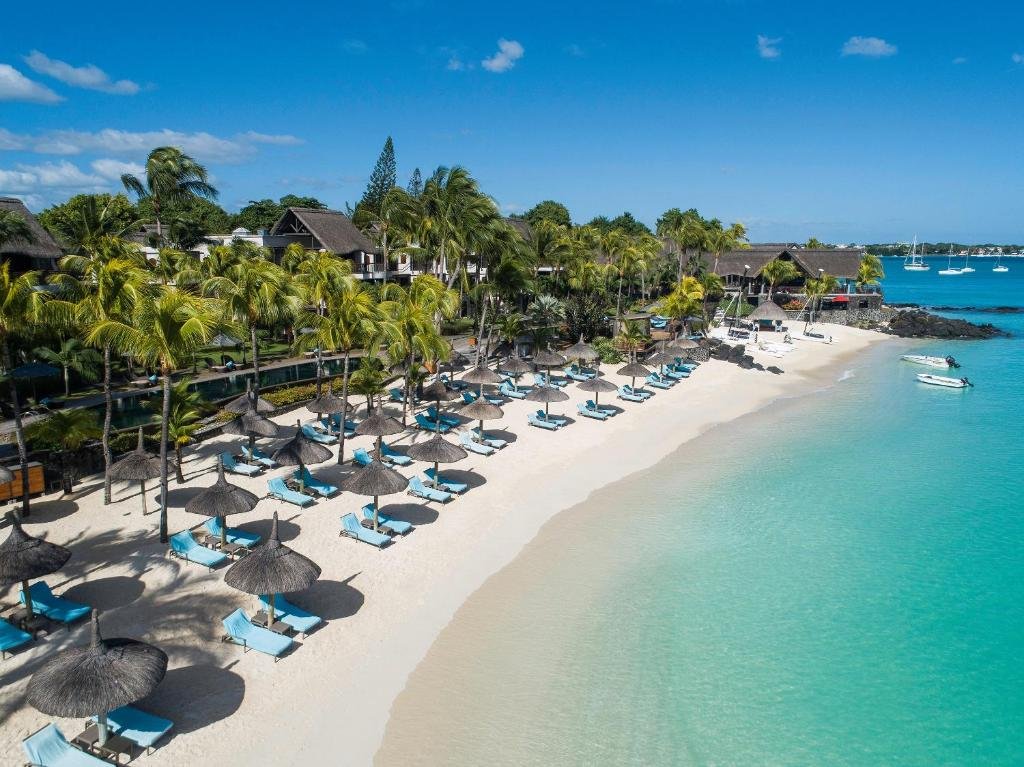 Royal Palm Beachcomber