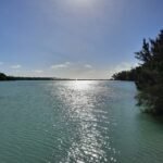 a body of water with trees in the background