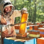 Sustainable Hotel