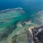 aerial view of a beach and ocean