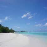 a white sandy beach with palm trees and blue water