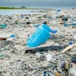 Mauritius Eyes Plastic-Free Indian Ocean: Zero Waste and Circular Economy Drive