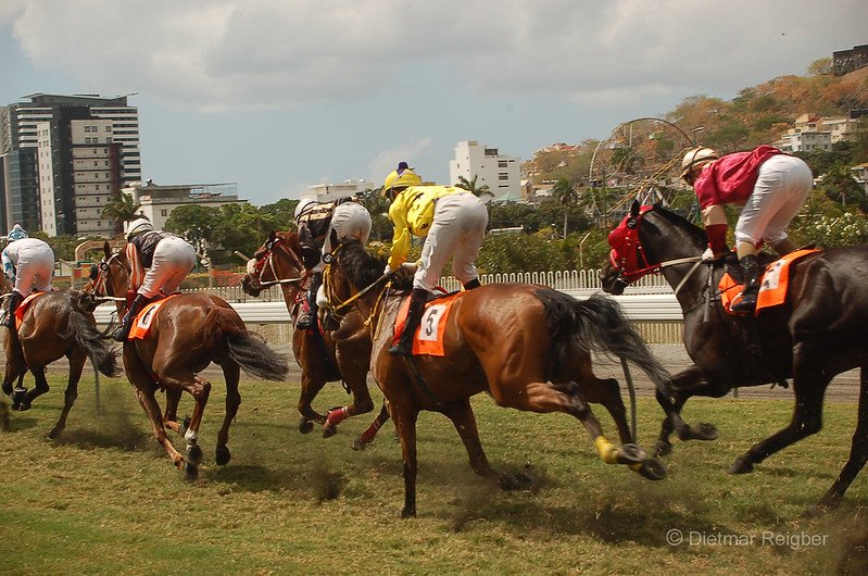 horse racing Champ de Mars