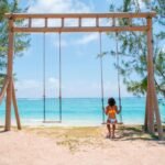 C mauritius palmar