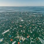 Ocean-Dissolving Plastic: Japanese Breakthrough Offers Hope for Mauritius Waste