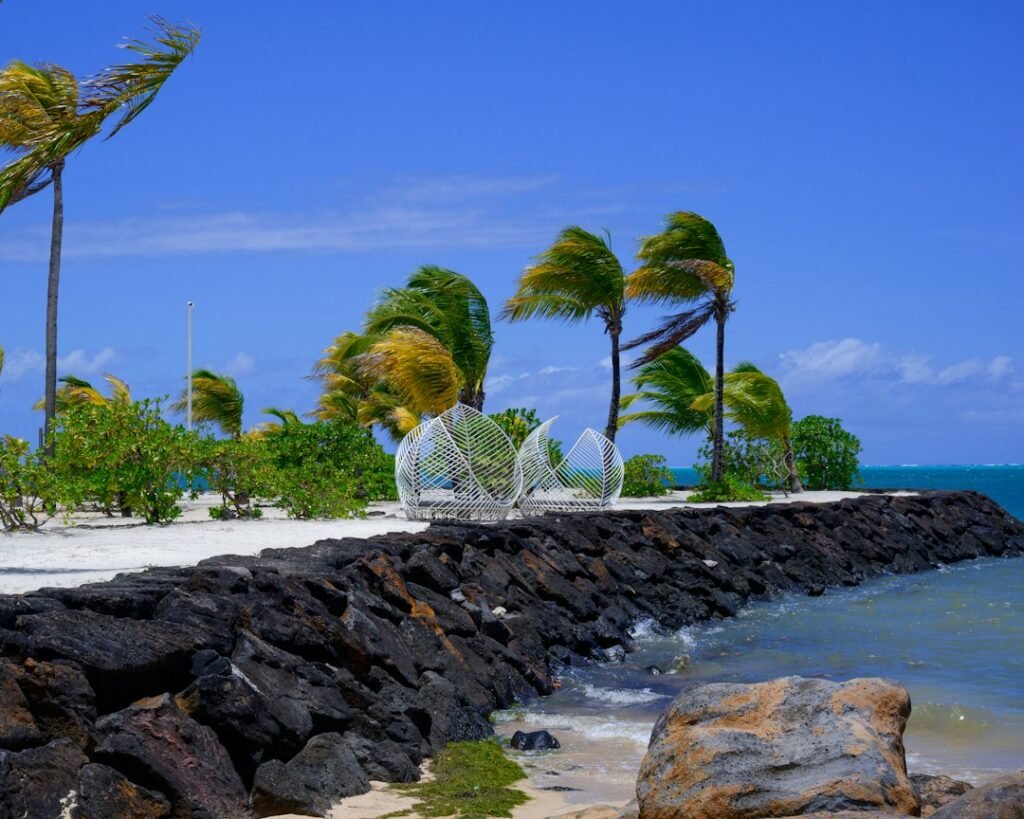 Palm trees sway on a breezy tropical beach island
